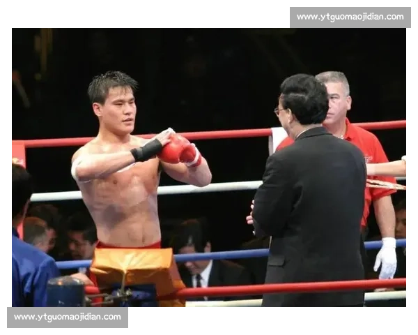 边茂富对决柳海龙巅峰一战视频回顾与技术细节全解析经典瞬间深度盘点