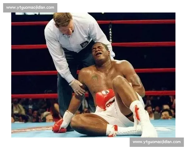 里迪克鲍对决戈洛塔拳坛史上最混乱震撼的重量级之夜争议与暴力失控传奇回顾