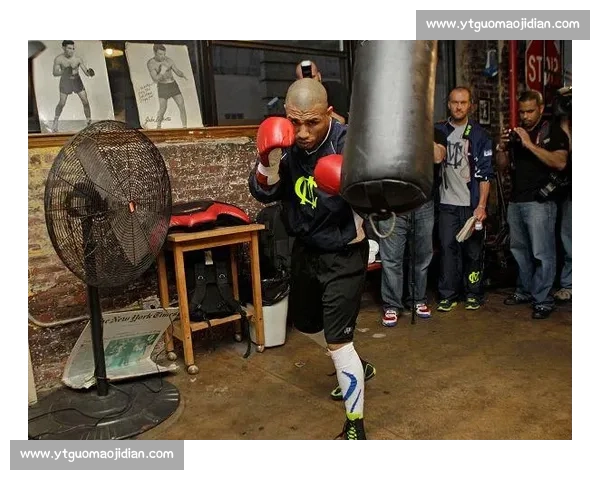 阿瓦雷兹对决库托世纪之战谁能统治拳坛巅峰冠军宿命碰撞点燃拳迷热血