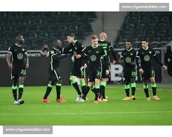 霍芬海姆对阵强敌的德甲焦点之战前瞻与看点解析全面分析预测赛况